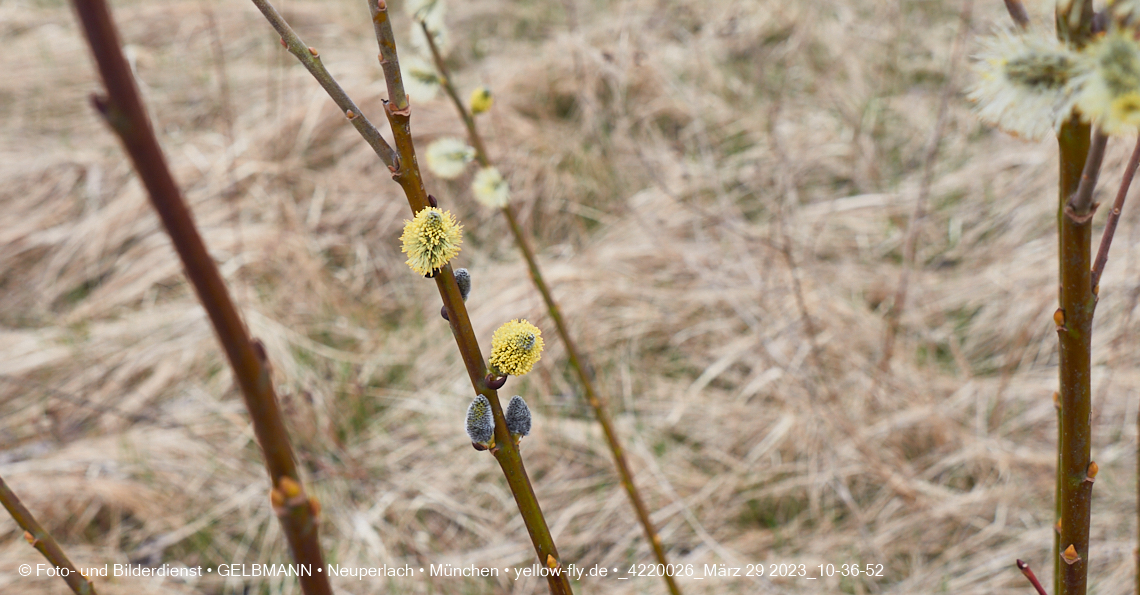 29.03.2023 - Baustelle REVO und Umgebung in Neuperlach
